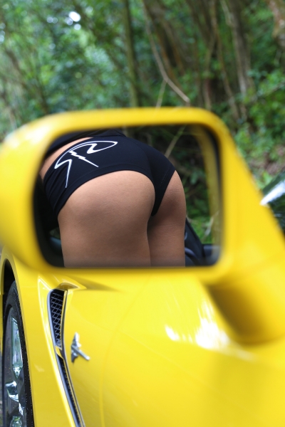 Ann Janette with a 2015 C7 Corvette Stingray